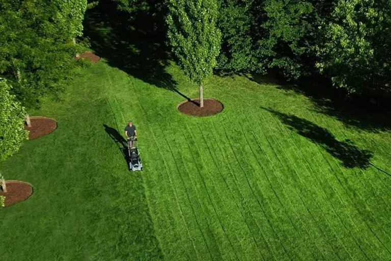 best electric mower