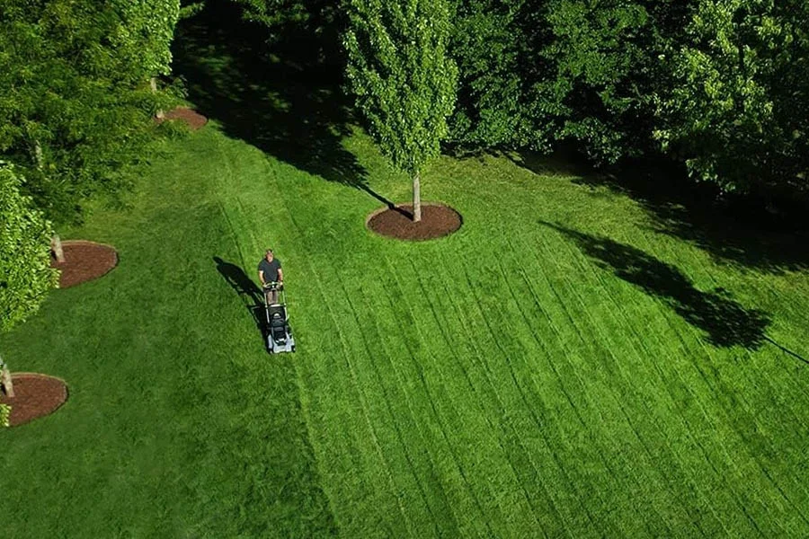 best electric mower
